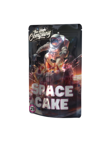 HHC Spacecake