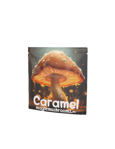Caramel mit Pilzextrakt